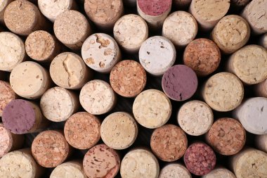 şarap mantarlar yakın çekim