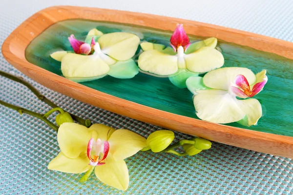 Bellissimi fiori di orchidea in acqua primo piano — Foto Stock