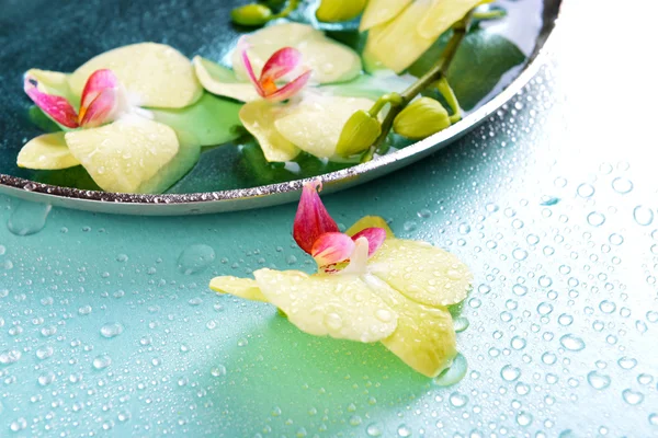 Bellissimi fiori di orchidea in acqua primo piano — Foto Stock