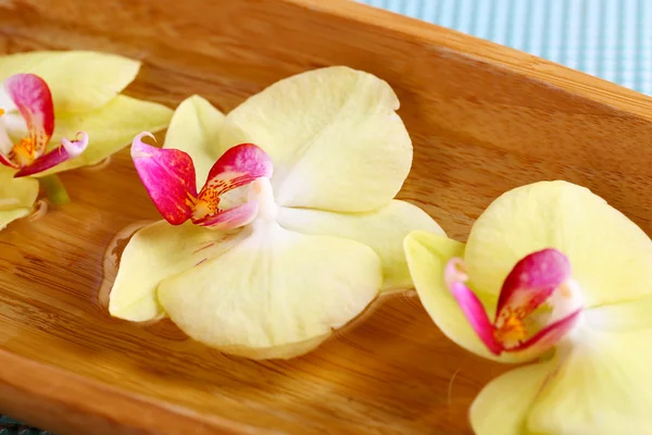 Piękne kwiaty orchidei w woda zbliżenie — Zdjęcie stockowe