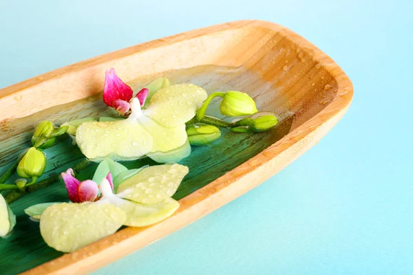 Vackra orkidé blommor i vatten närbild — Stockfoto