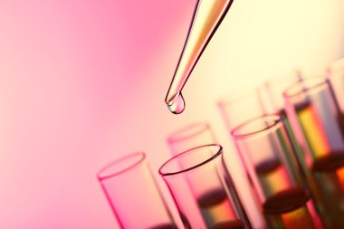 Sıvı test tüpleri yakın çekim birine ekleyerek pipet