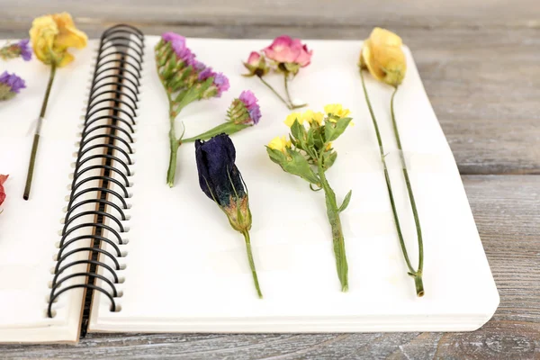 Secar las plantas en el cuaderno sobre el fondo de madera — Foto de Stock