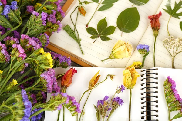 Composición con flores y secar las plantas en cuadernos en la mesa de cerca —  Fotos de Stock