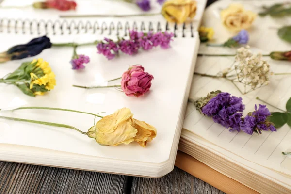 Pflanzen auf dem Notizbuch auf dem Tisch aus nächster Nähe vertrocknen lassen — Stockfoto