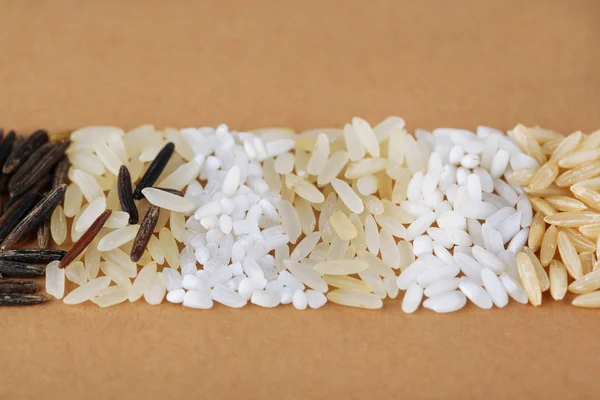 Różne rodzaje ryżu — Zdjęcie stockowe