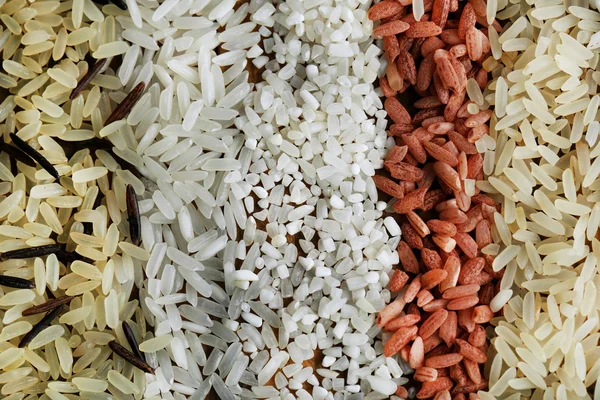 Diferentes tipos de arroz — Foto de Stock
