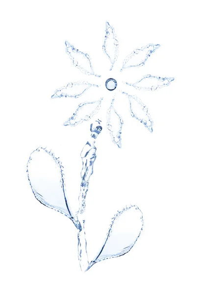 Νερό πιτσίλισμα διαμορφωμένο ως απομονωμένα σε λευκό λουλούδι — Φωτογραφία Αρχείου