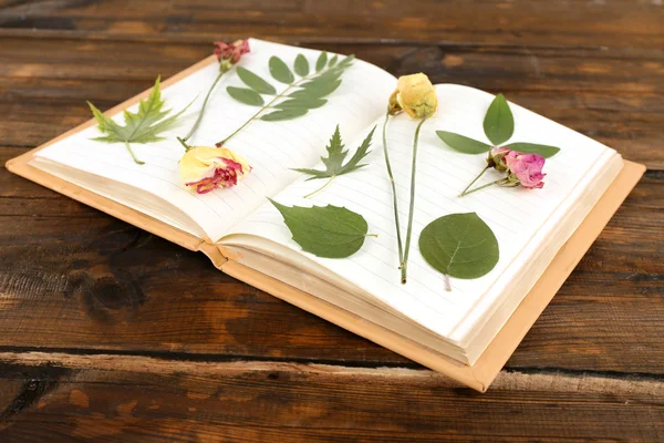 Opdrogen planten op notebook op houten achtergrond — Stockfoto