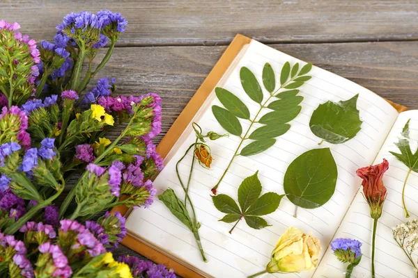 Çiçekler ve bitkiler üzerinde dizüstü tablo kadar kuru kompozisyonu kapatmak — Stok fotoğraf