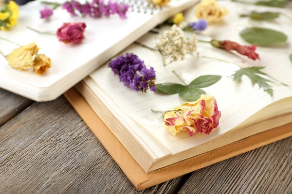 Secar las plantas en el cuaderno en la mesa de cerca — Foto de Stock