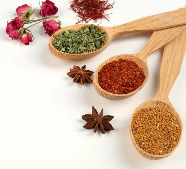Diverse spezie ed erbe aromatiche in cucchiai di legno isolati su bianco — Foto Stock