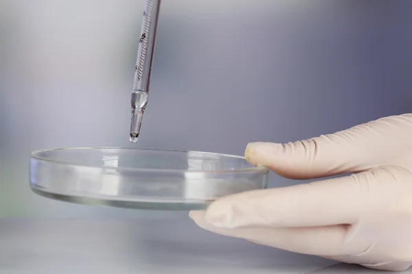 Рука ассистента с жидкостью в стекле во время эксперимента в лаборатории на светлом размытом фоне — стоковое фото