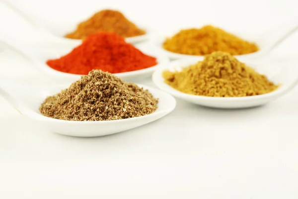 Different kinds of spices — Stock Photo, Image