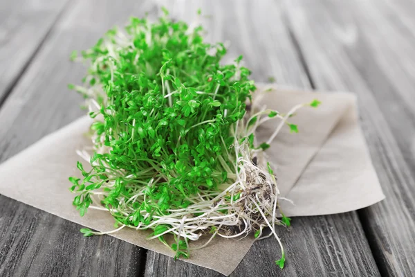 Fresh cress salad — Stock Photo, Image