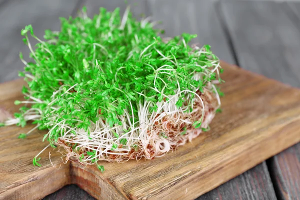 Fresh cress salad — Stock Photo, Image