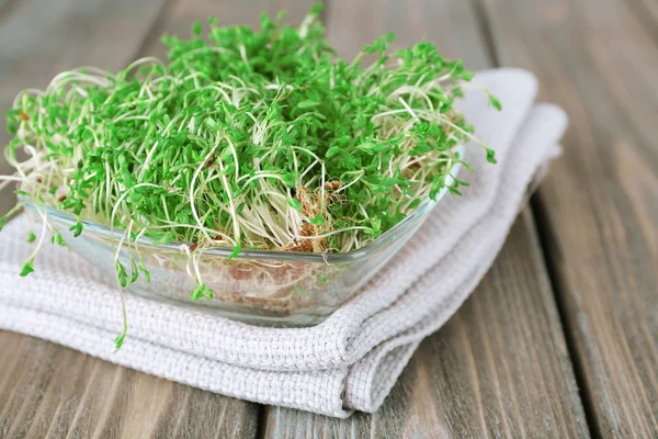 Fresh cress salad — Stock Photo, Image