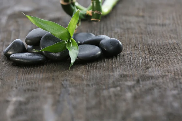 Stack of black sea paddles — Stock Photo, Image