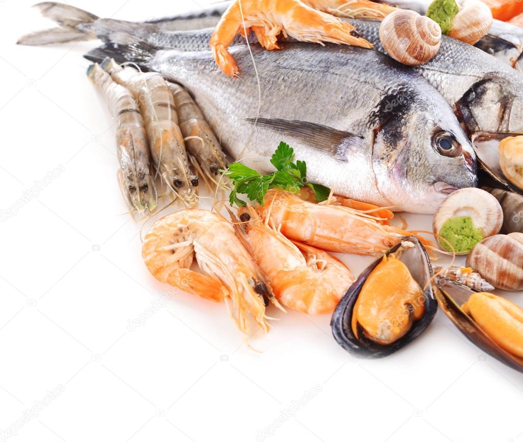 Fresh fish and other seafood isolated on white