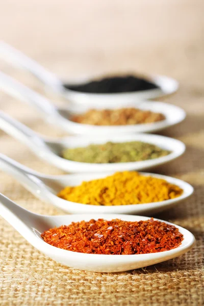 Different kinds of spices in ceramics spoons, on sackcloth background — Stock Photo, Image