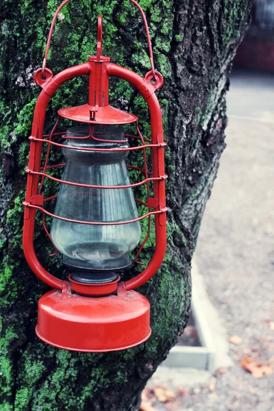 Kerosene lamp on tree, outdoors — Stock Photo, Image