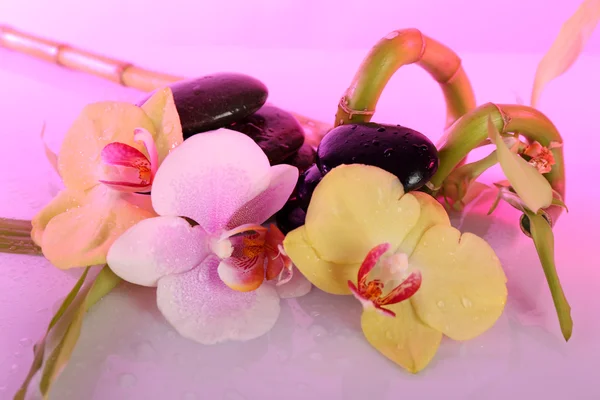 Pedras de spa com orquídea e bambu no fundo claro — Fotografia de Stock