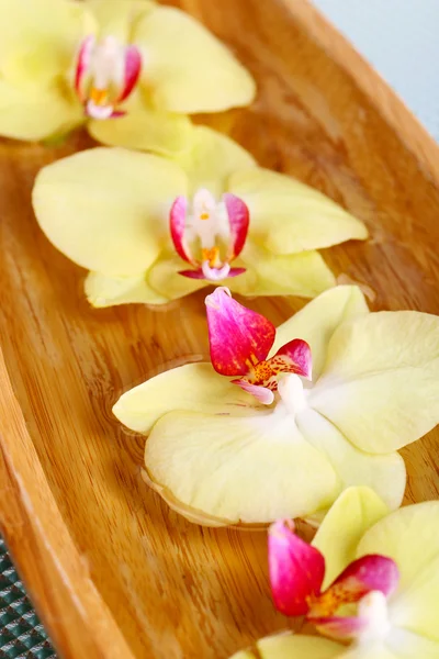 Bellissimi fiori di orchidea in acqua primo piano — Foto Stock