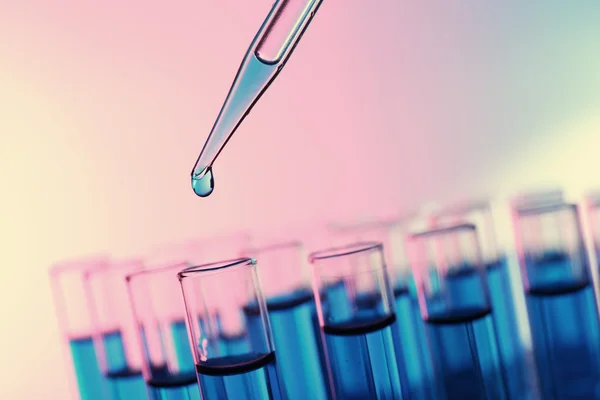 Pipette adding fluid to the one of test-tubes on bright background — Stock Photo, Image