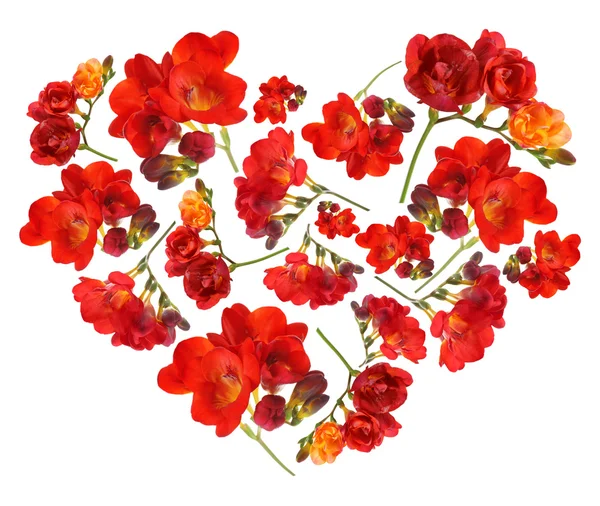 Beautiful flowers in shape of heart isolated on white — Stock Photo, Image