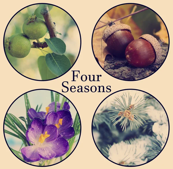 Four seasons collage: winter, spring, summer, autumn, and space for text