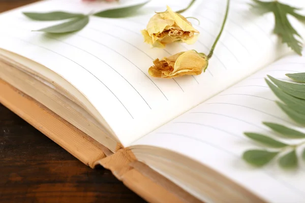 Secar las plantas en el cuaderno sobre el fondo de madera — Foto de Stock