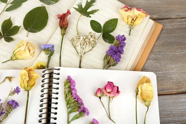 Seque fábricas no caderno na mesa de perto — Fotografia de Stock