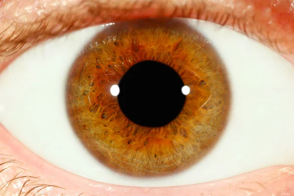 Detailní záběr lidského oka — Stock fotografie