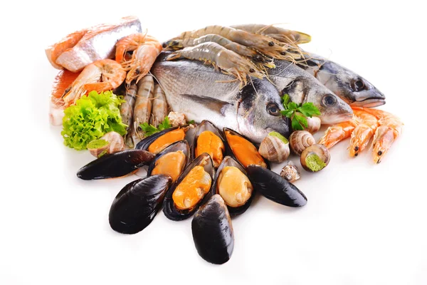 Pescado fresco y otros mariscos aislados en blanco — Foto de Stock