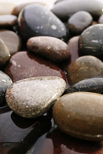 Pedrinhas do mar molhado, vista macro — Fotografia de Stock