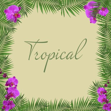 Orkide çiçek ve yaprakları metin için yer ile parlak çerçeve yaptı