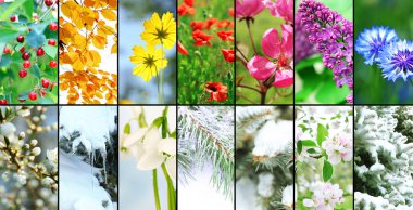 dört mevsim kolaj: kış, ilkbahar, yaz, sonbahar