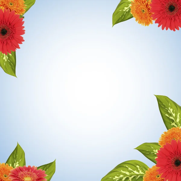Bright frame made of flowers and leaves with space for text — Stock Photo, Image
