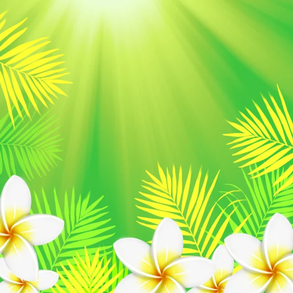 Helder frame samenstelling gemaakt van bloemen en palm verlaat met ruimte voor tekst — Stockfoto