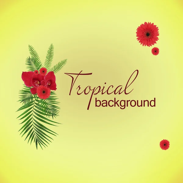 Space for your text near palm tree leaves and red flowers — Stock Photo, Image