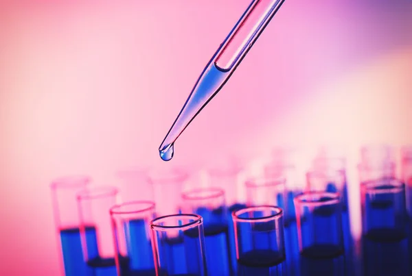 Pipette adding fluid to the one of test-tubes on bright background — Stock Photo, Image