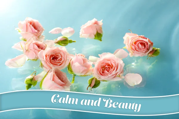 Flytende rosa roser i lyseblått vann – stockfoto