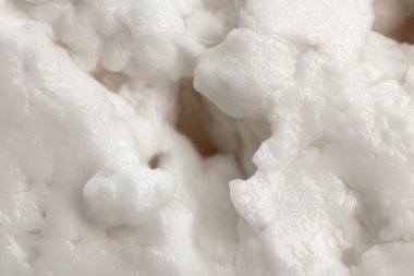 lezzetli peynir yakın çekim