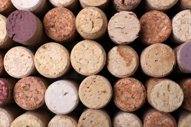 şarap mantarlar yakın çekim