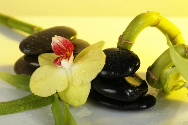 Pietre termali con orchidea e bambù su sfondo chiaro — Foto Stock