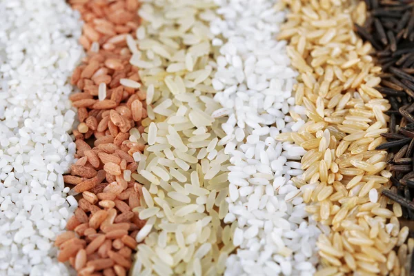 Different types of rice close up — Stock Photo, Image