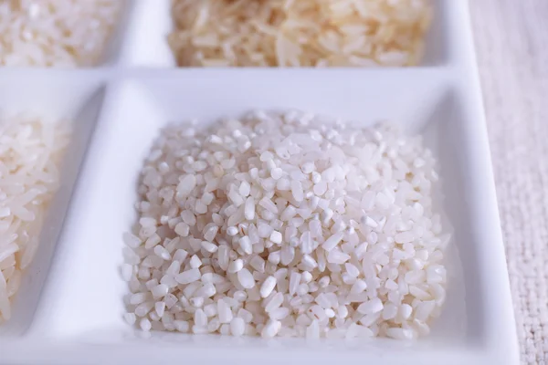 Olika typer av ris på plattan på nära håll — Stockfoto