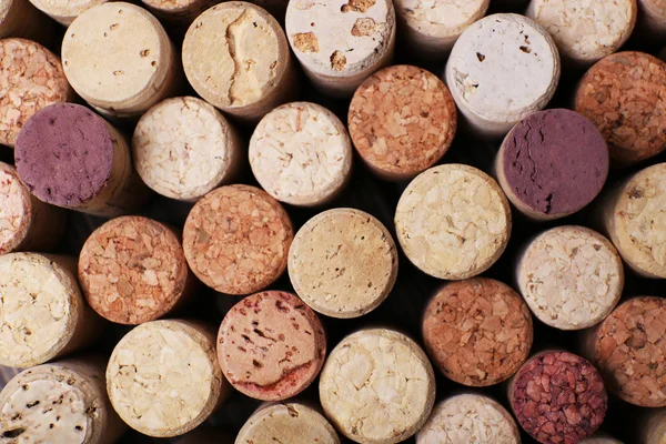Corchos de vino de cerca — Foto de Stock
