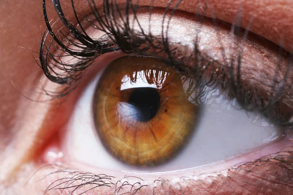 Gros plan sur les yeux humains — Photo