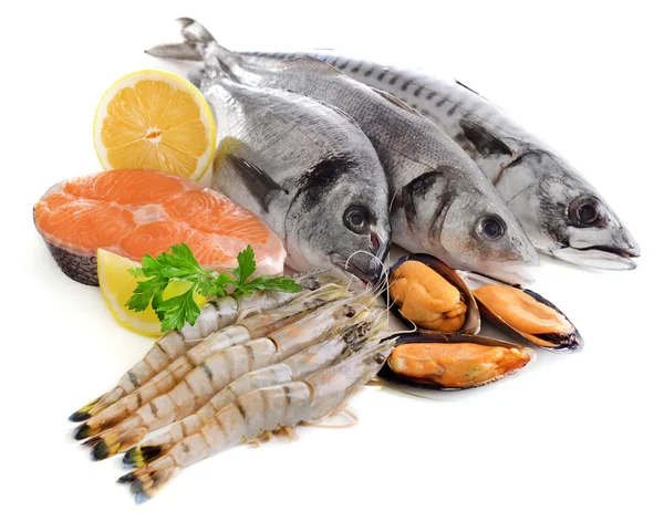 Fresh fish and other seafood isolated on white — Stock Photo, Image